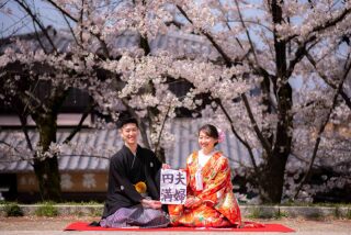 桜シーズン到来！