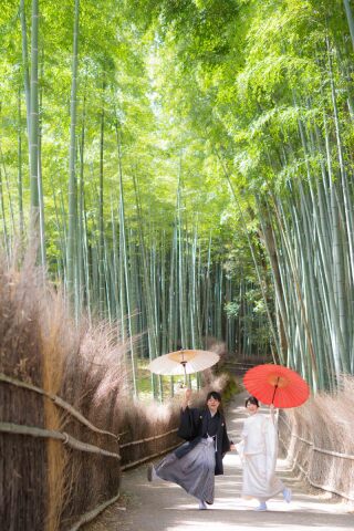 竹林貸し切り状態！