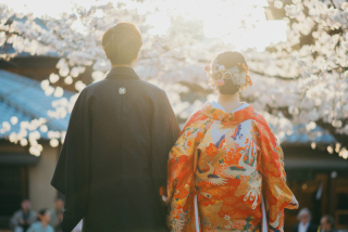 京都らんまん桜