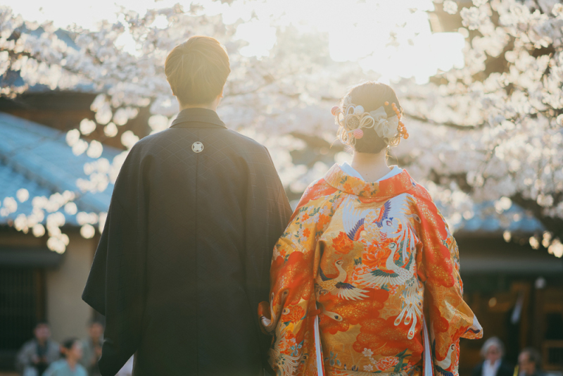 京都らんまん桜