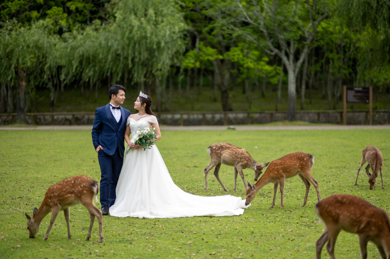 奈良の和装と洋装