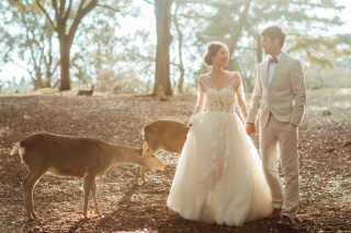 奈良ロケーション撮影全データ