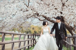 フォトウエディング華_桜撮影【3月～4月】