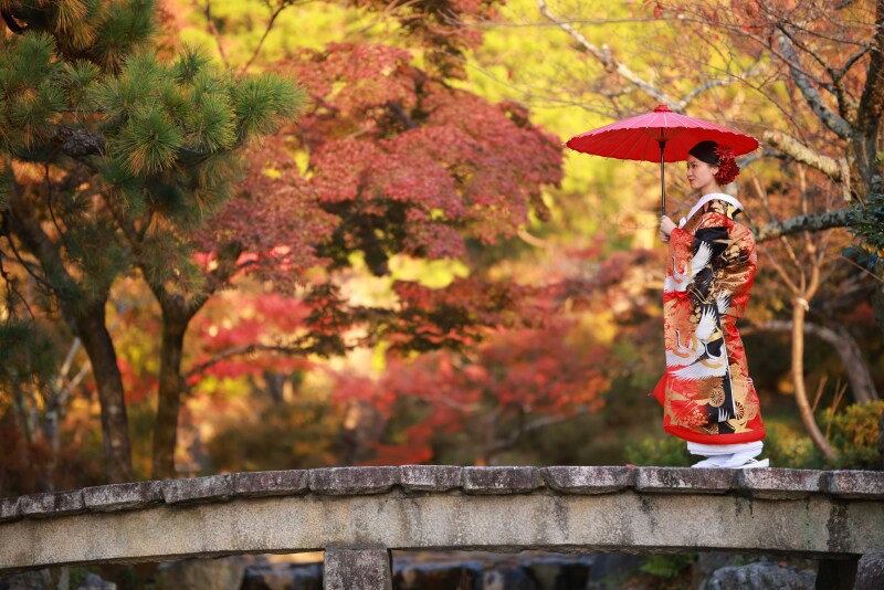 フォトウエディング華_色打掛・着物が豊富