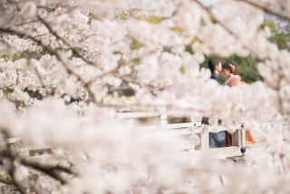 フォトウエディング華_奈良若草山