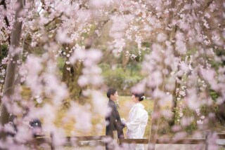フォトウエディング華_東山の公園