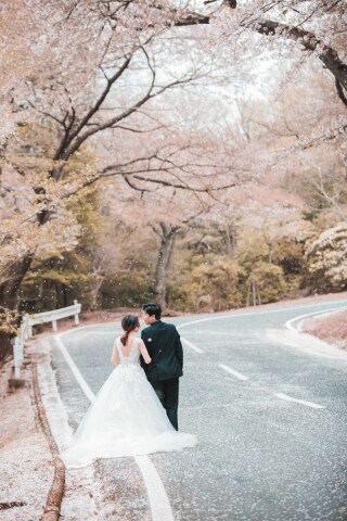 フォトウエディング華_桜撮影【3月～4月】