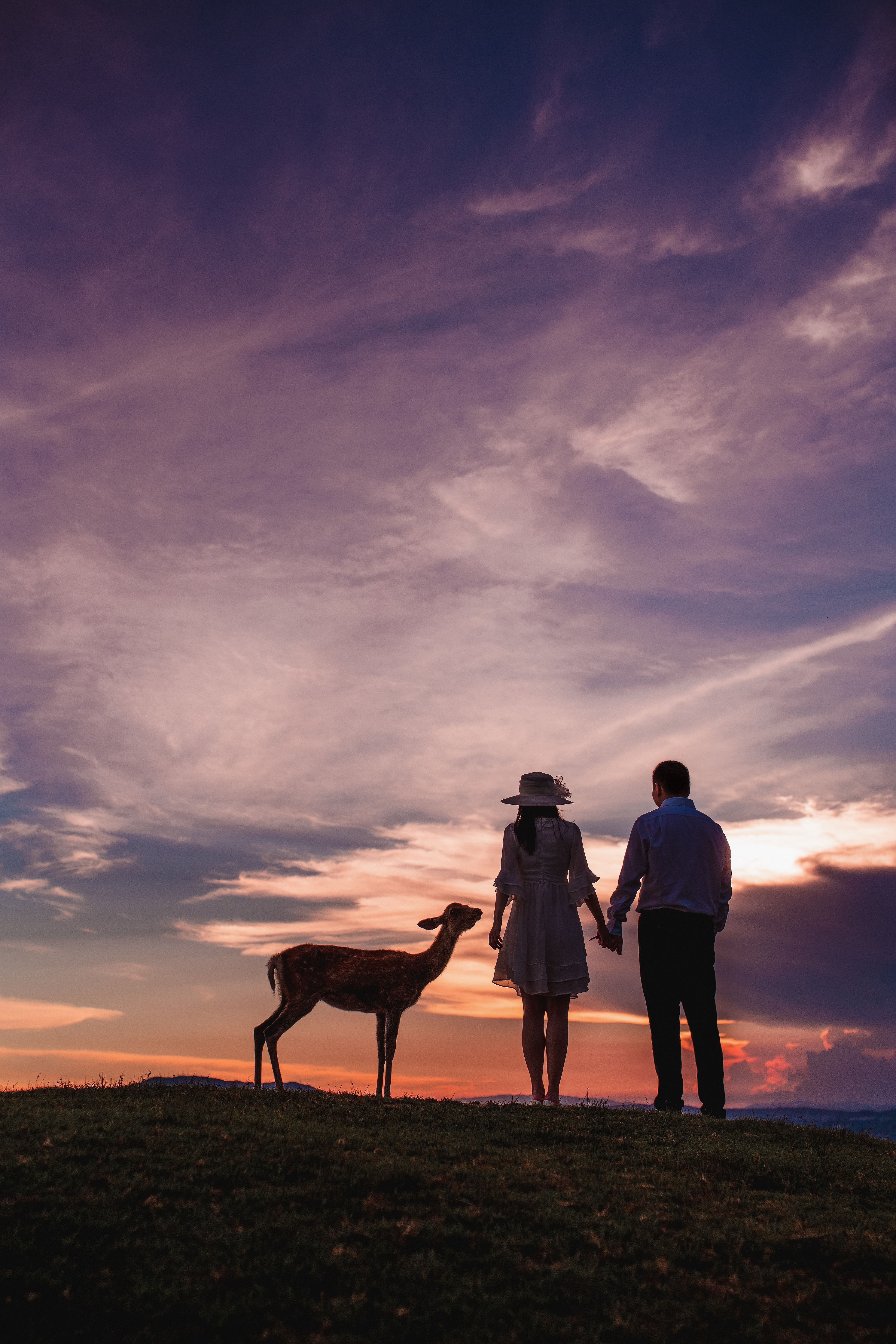 20以上ある撮影シーン