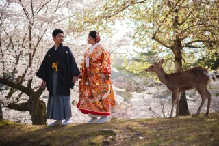 フォトウエディング華_奈良若草山