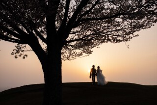 フォトウエディング華_奈良若草山