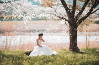 フォトウエディング華_桜撮影【3月～4月】