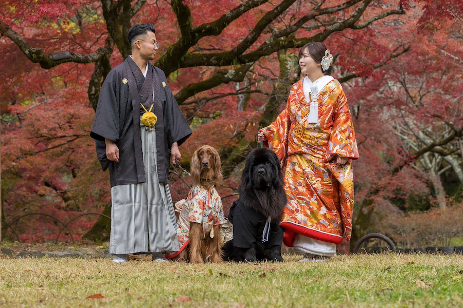 Point1 多彩な撮影シーン