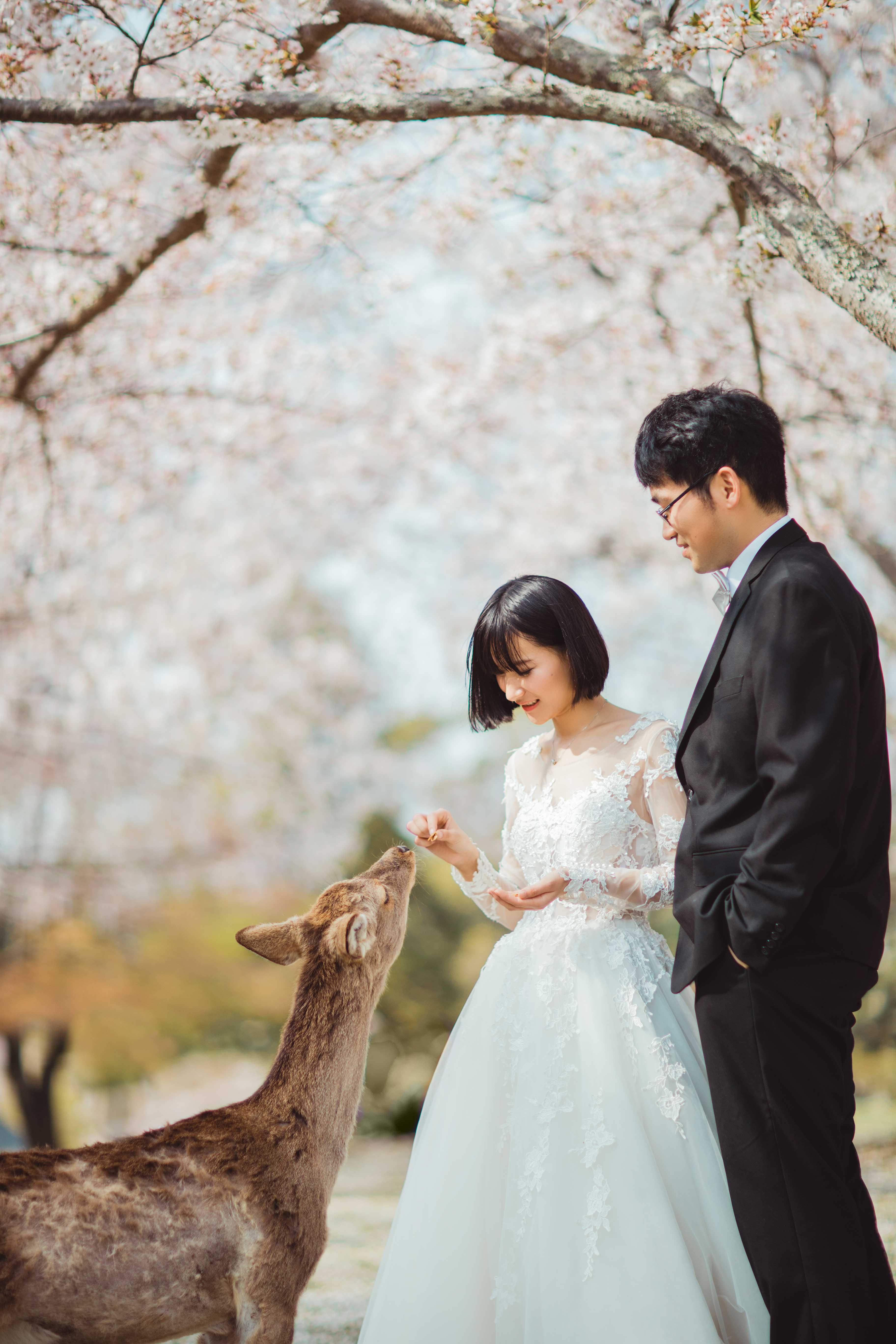 20以上ある撮影シーン