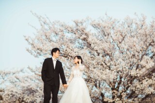 フォトウエディング華_桜撮影【3月～4月】