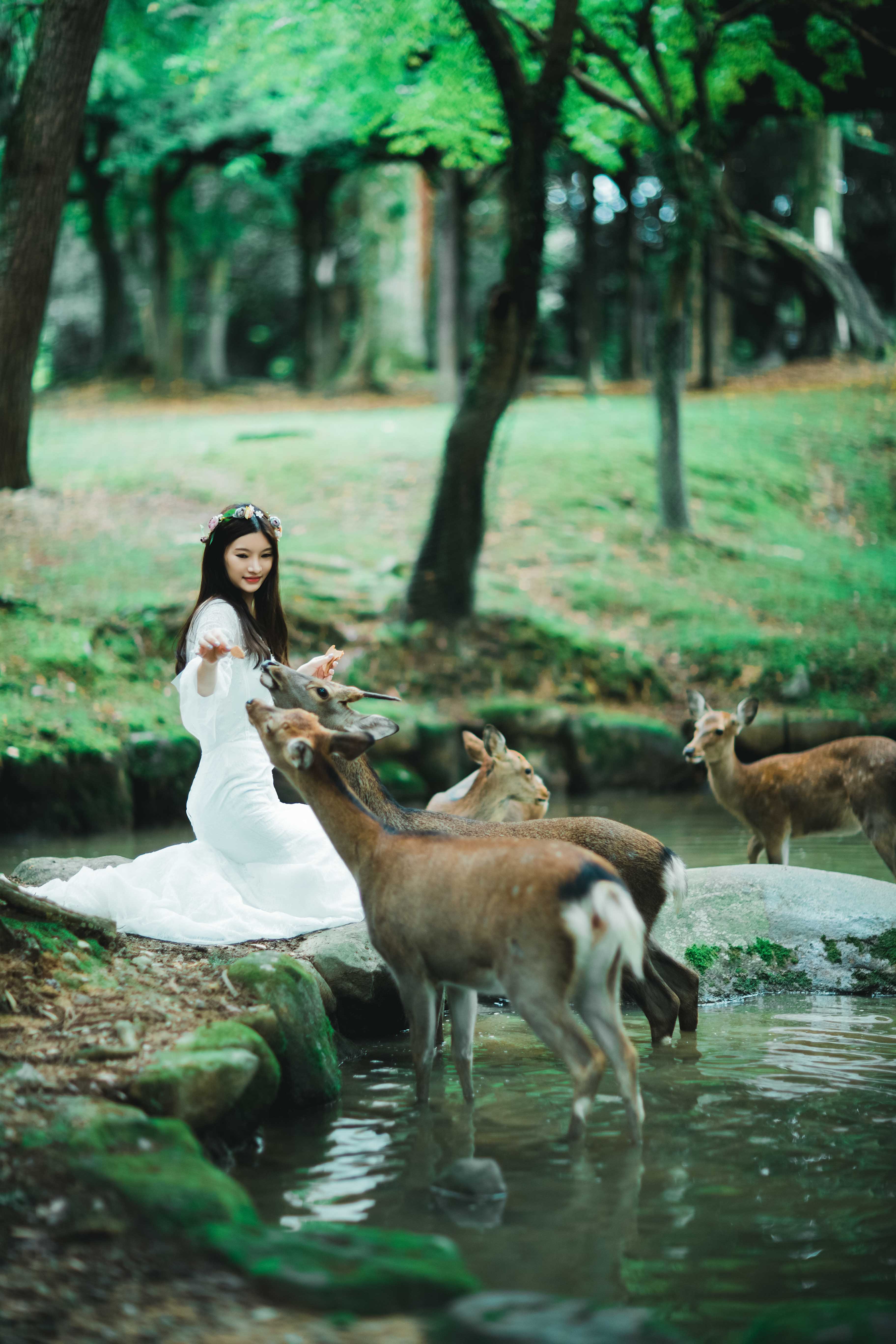 20以上ある撮影シーン