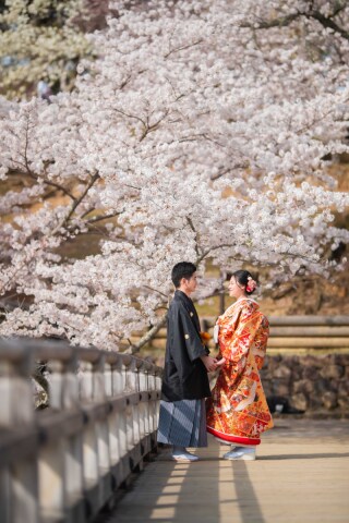 フォトウエディング華_桜撮影【3月～4月】