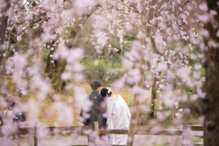 フォトウエディング華_東山の公園