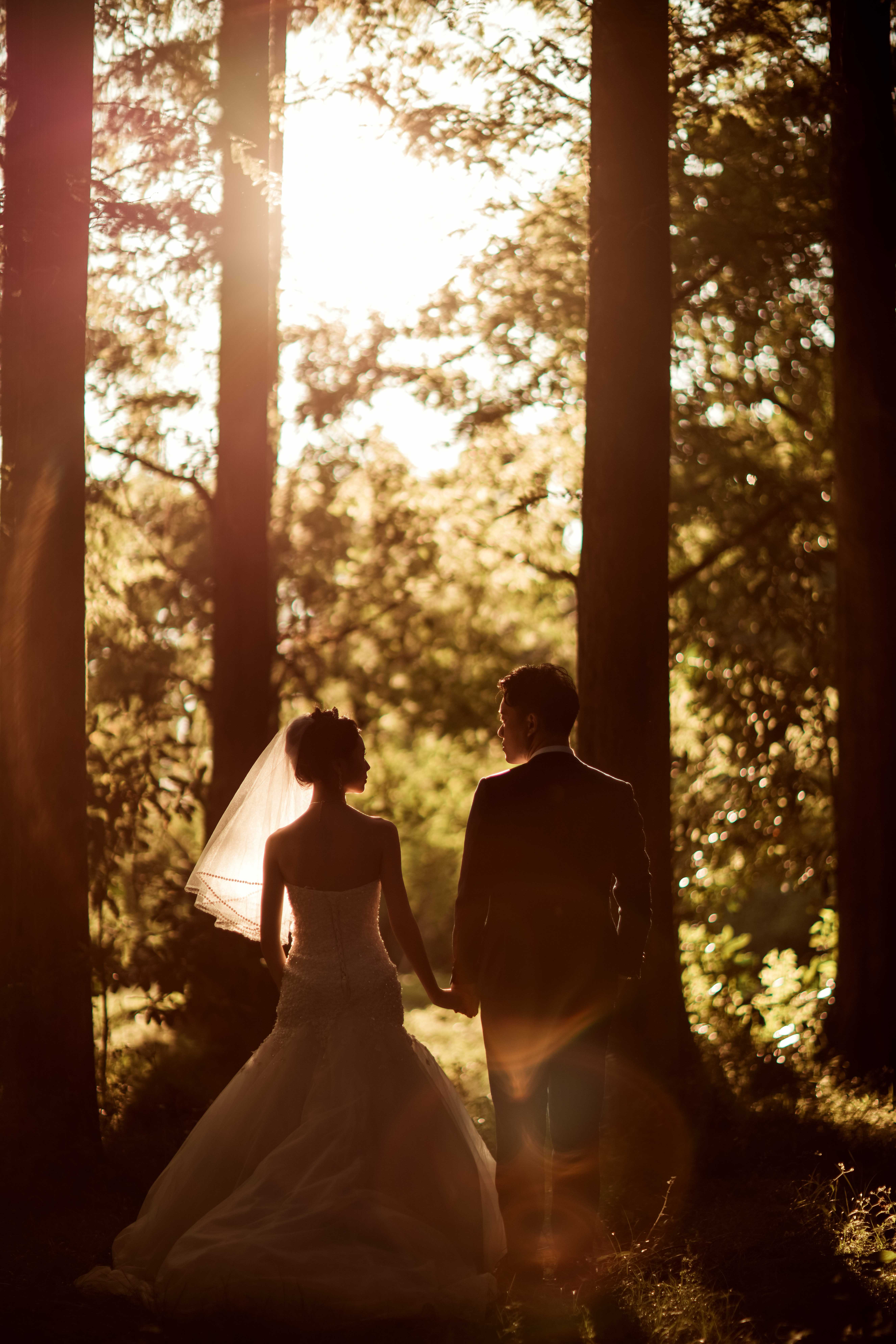 20以上ある撮影シーン