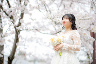 フォトウエディング華_桜撮影【3月～4月】