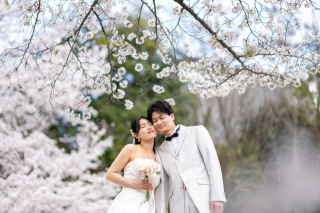 フォトウエディング華_桜撮影【3月～4月】
