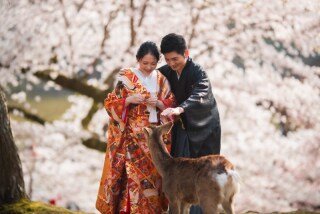 フォトウエディング華_奈良若草山