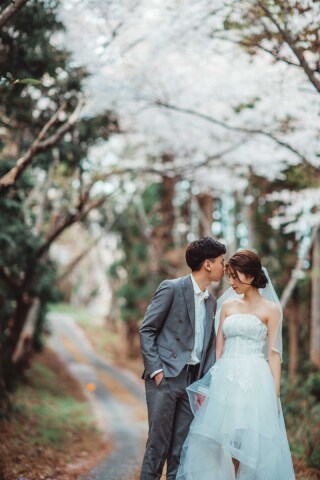 フォトウエディング華_桜撮影【3月～4月】