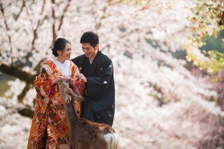 フォトウエディング華_奈良若草山