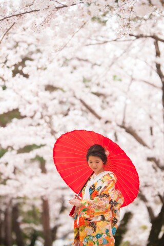 フォトウエディング華_東山エリア