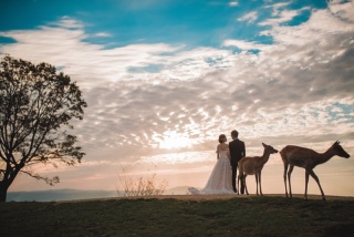 新録！和装・洋装プラン【新録で素敵な思い出を！白無垢or打掛＋ウェディングドレス＋ヘアメイク＋全データ込、追加料金不要♫