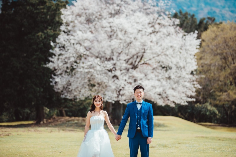 桜シーズンご予約可能!【13.2万円→7.7万円】洋装 or 和装1着ライト:1日1組限定3/20~4/12撮影