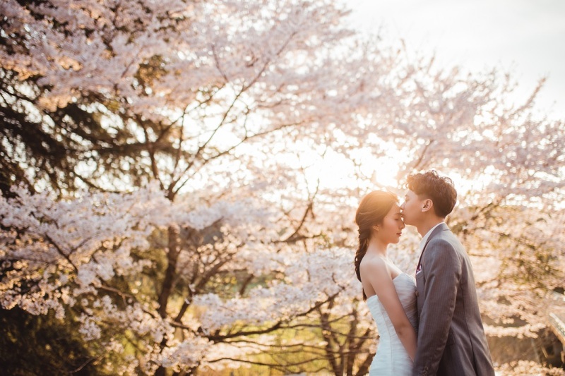 【桜穴場スポットで撮影!予約受付中】22万円→16.5万円、和装・洋装ライト:白無垢 or 色打掛+ドレス+全データ、追加料金無