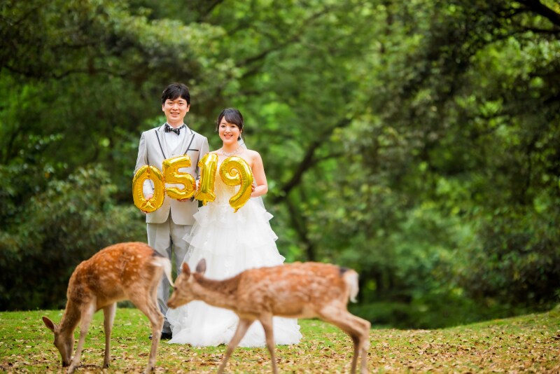 【24.2万円&rarr;19.8万円】早特有り、洋装プレミアム、ドレス２着・タキシード＋奈良公園・若草山＋希望ロケ地