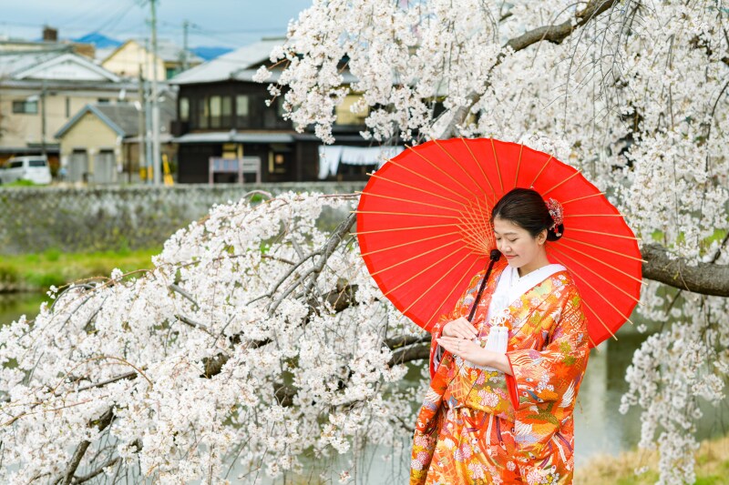【桜！3月20～4月6日予約可能！】17.6&rarr;13.2万円、京都寺院・和装１着プラン、白無垢or色打掛＋ヘアメイク＋全データ