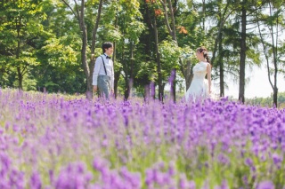 夏の羊ケ丘ロケーション