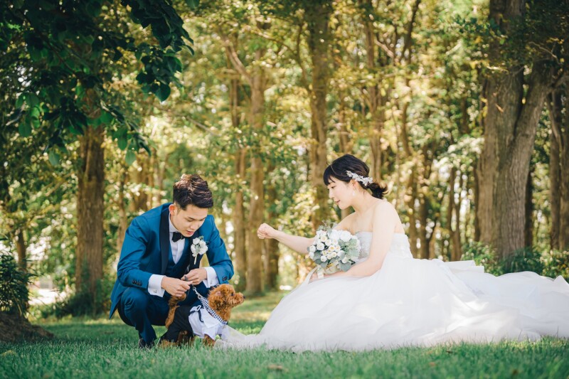 大切なペットと一緒に