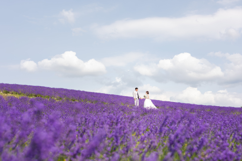 満開のラベンダー畑で♪