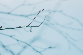 雪のモエレ沼公園