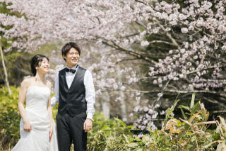 桜ロケ☆受付スタート！