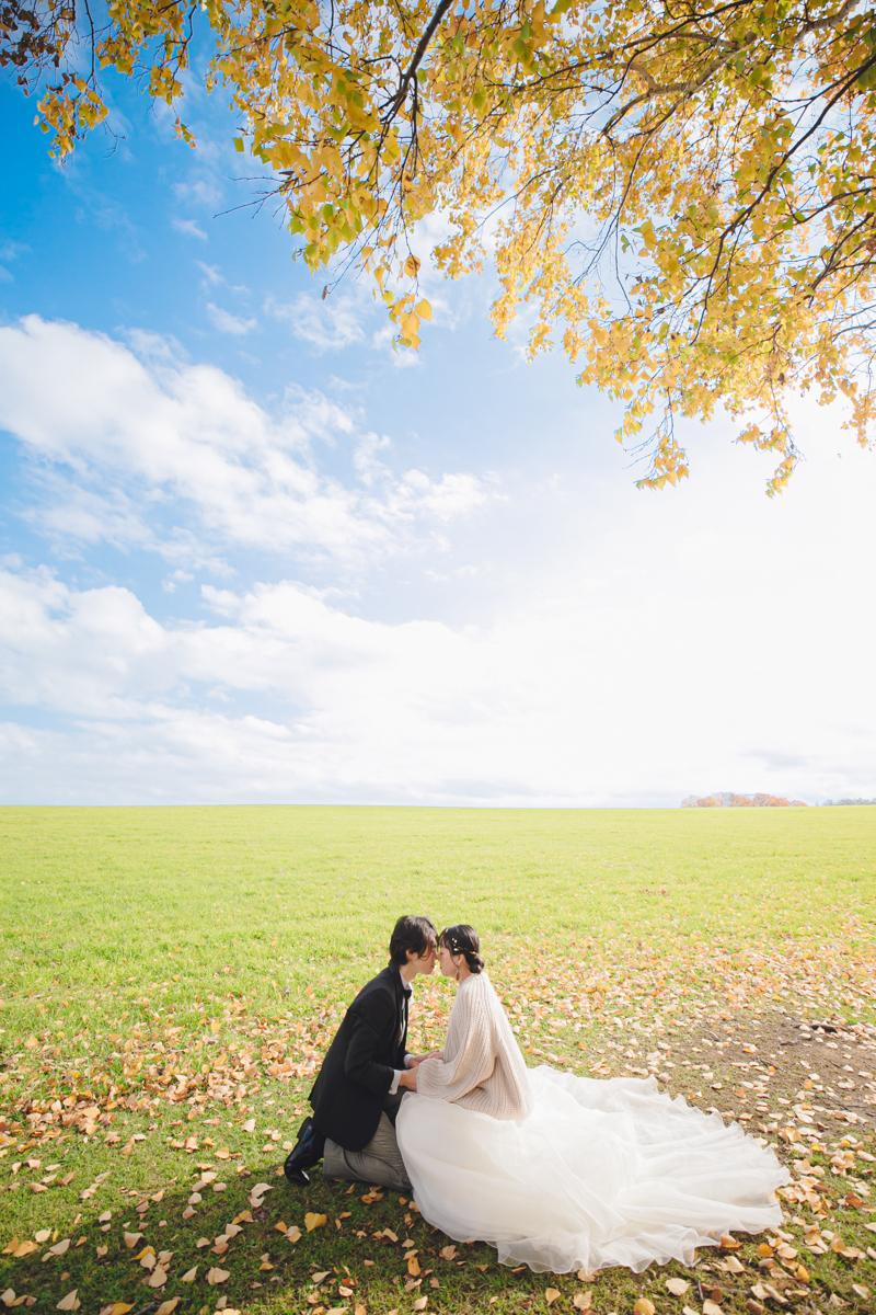 羊ケ丘展望台は、大地の壮大なスケール感の中に