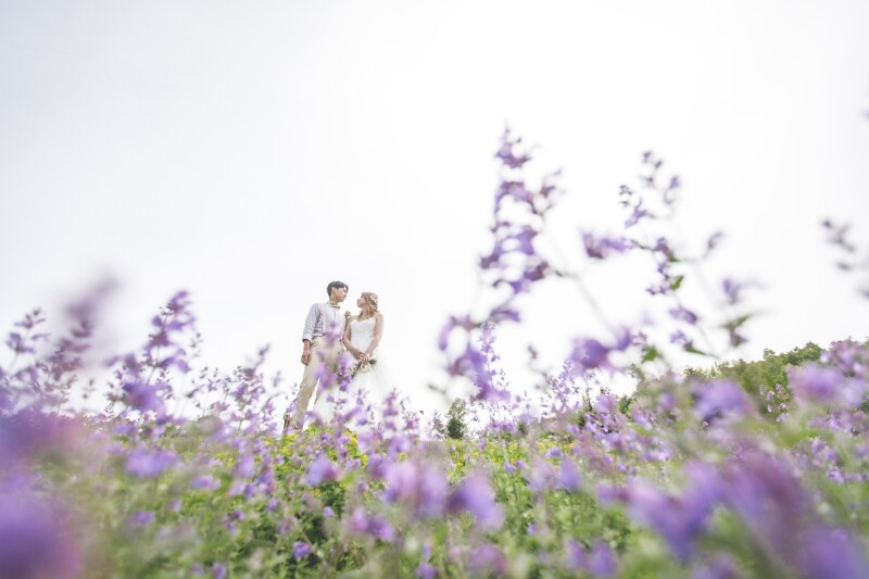 たくさんのバリエーション