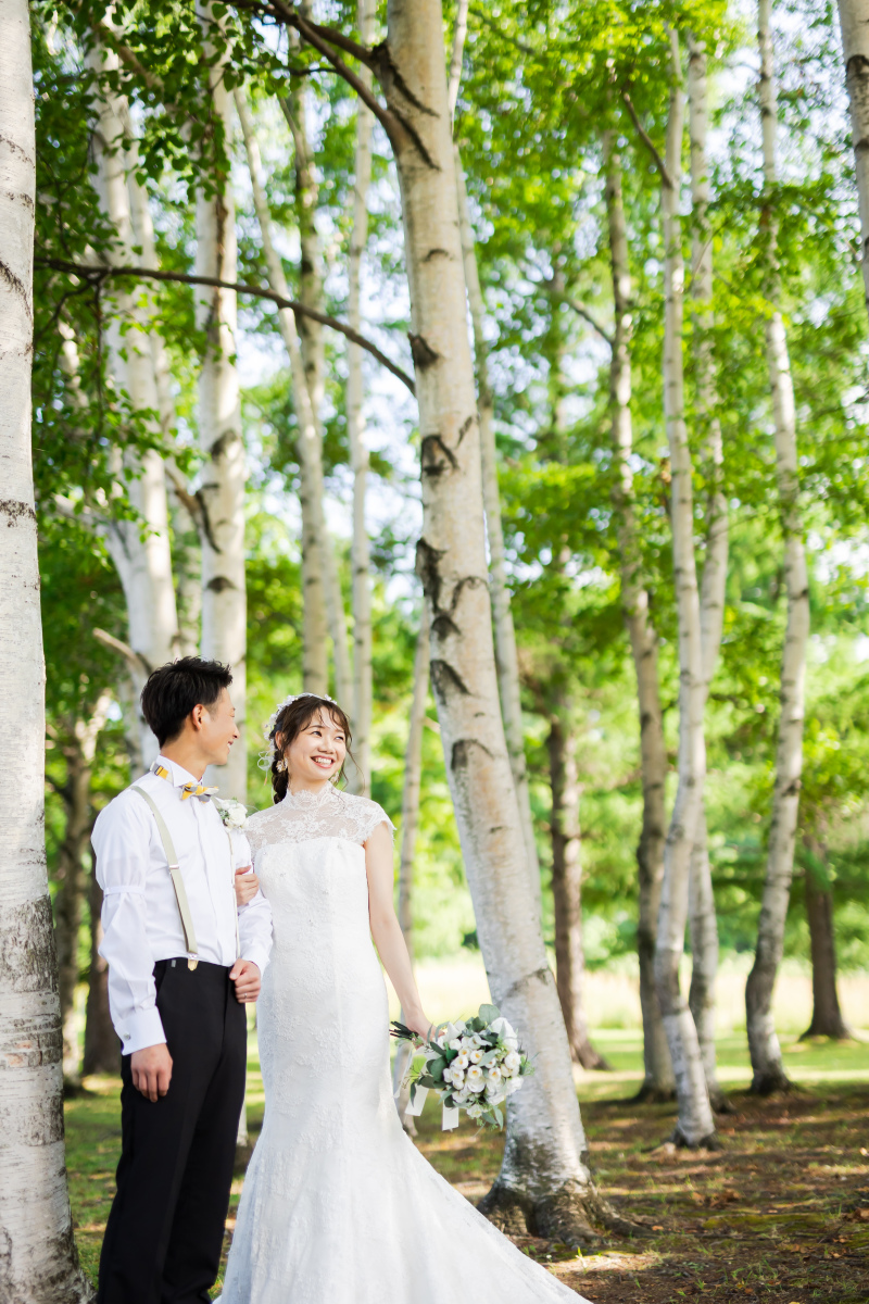 北海道らしい白樺