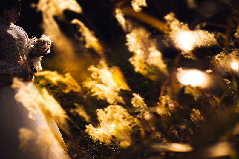 燃えるような秋