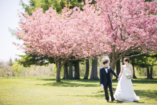 桜に見守られて