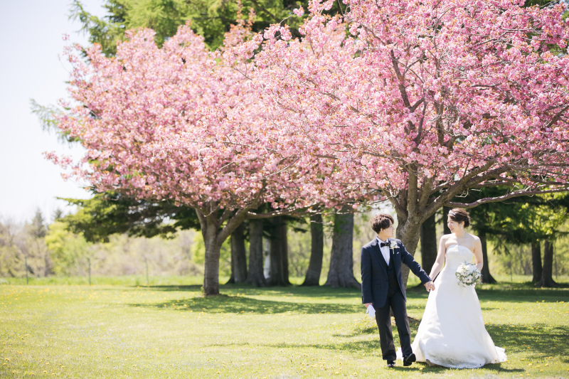 桜に見守られて