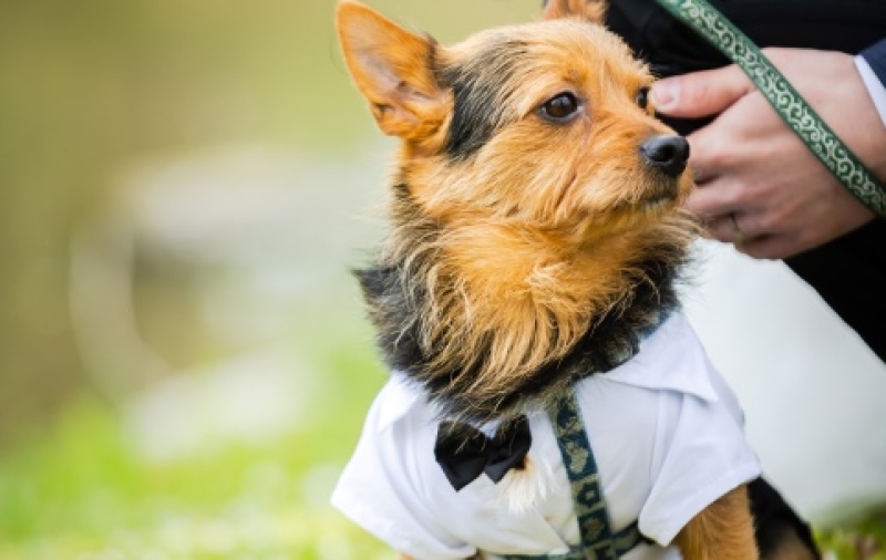 【選べる撮影地】ロケーション・ペットフォトプラン