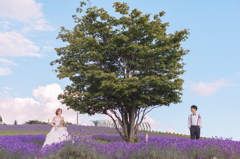 【富良野】2ロケーションフォト データプラン