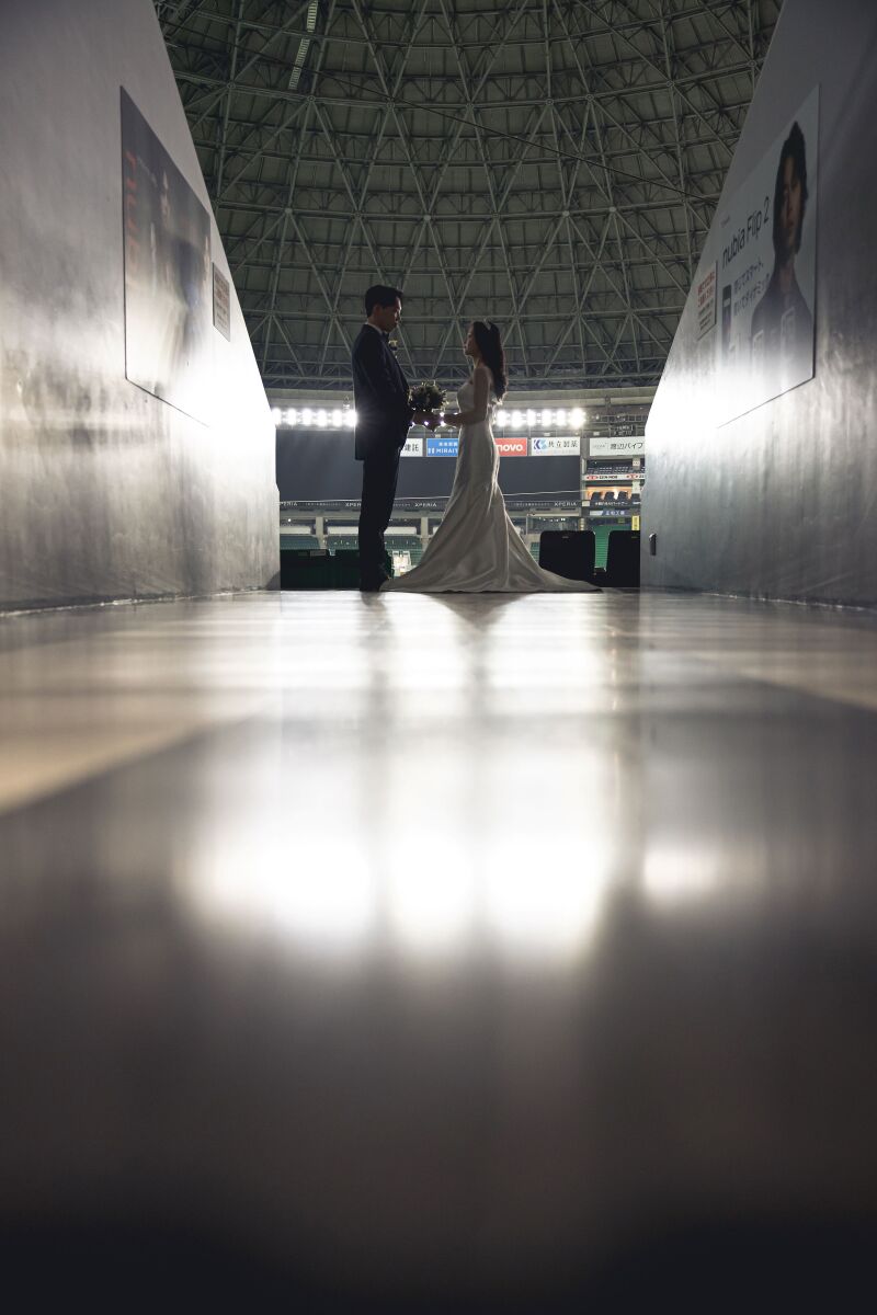 シルエット写真