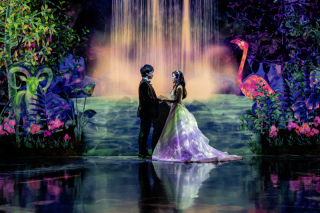 【平日1日1組限定】チームラボフォレストフォトプラン