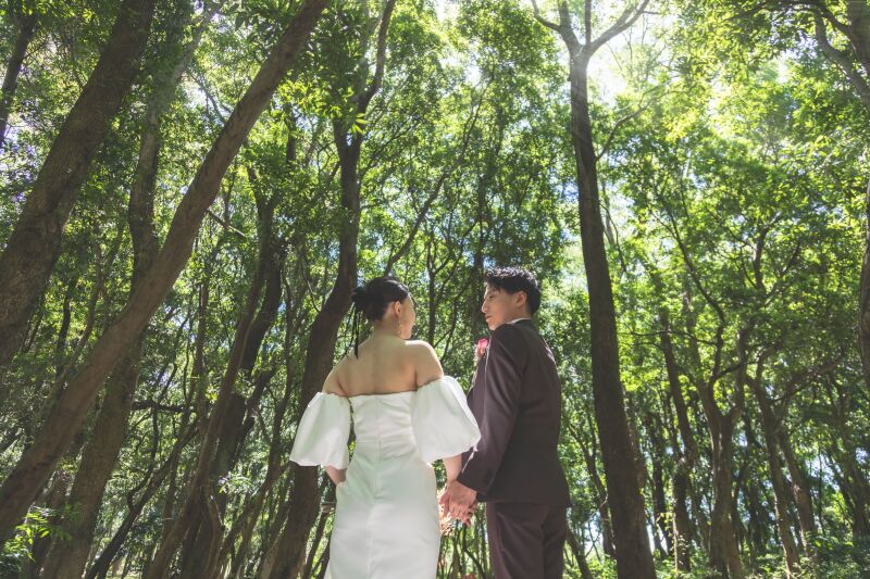 海までの道のりも