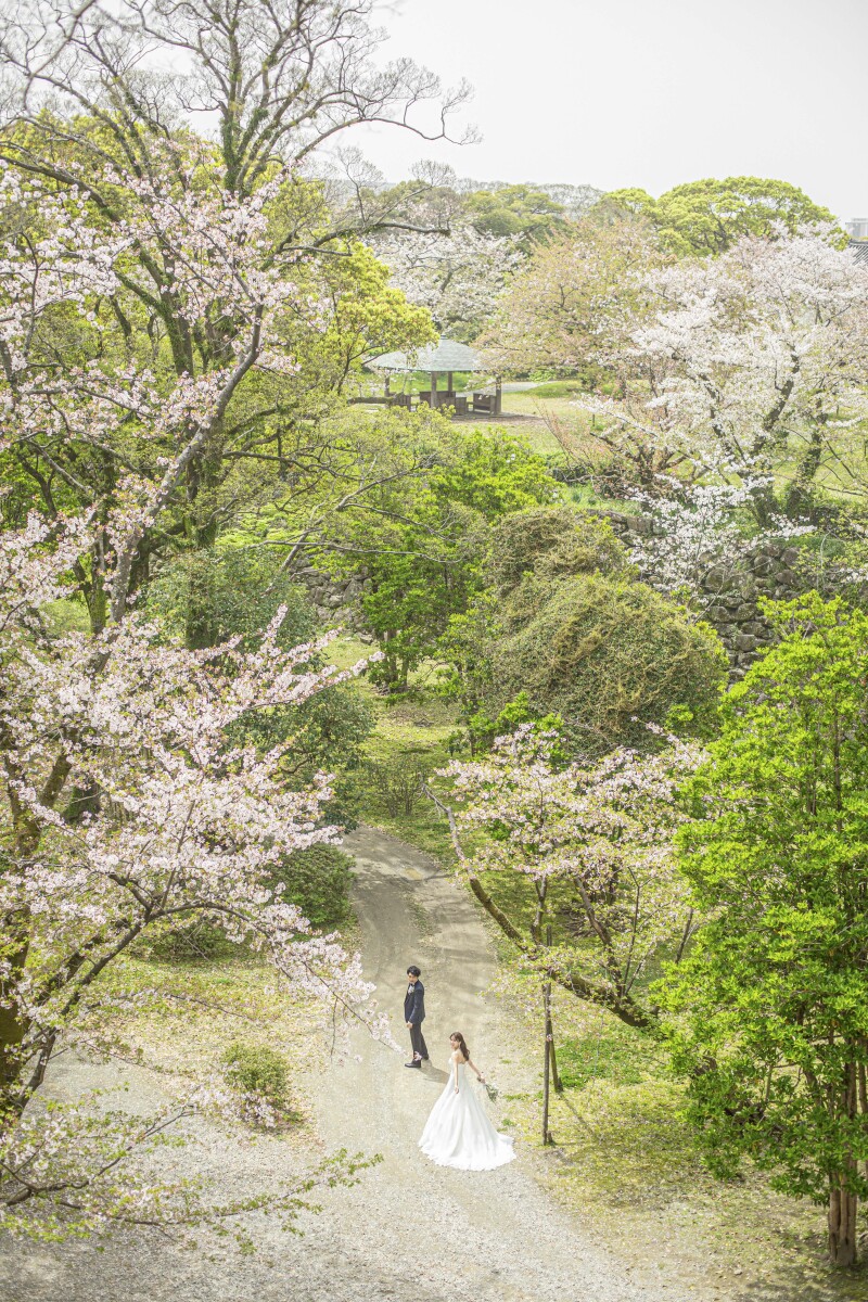ロケハンのプロ
